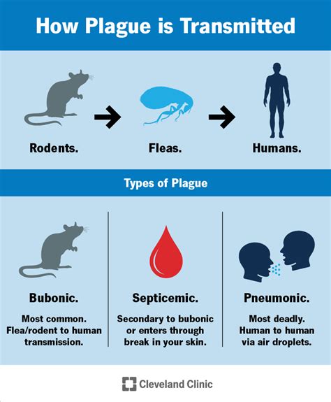 Plague Meaning .